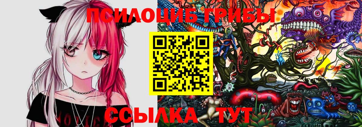Будённовск  Галлюциногенные грибы Psilocybine cubensis  Вход с VPN  хочу   Псилоцибиновые грибы прущие грибы 