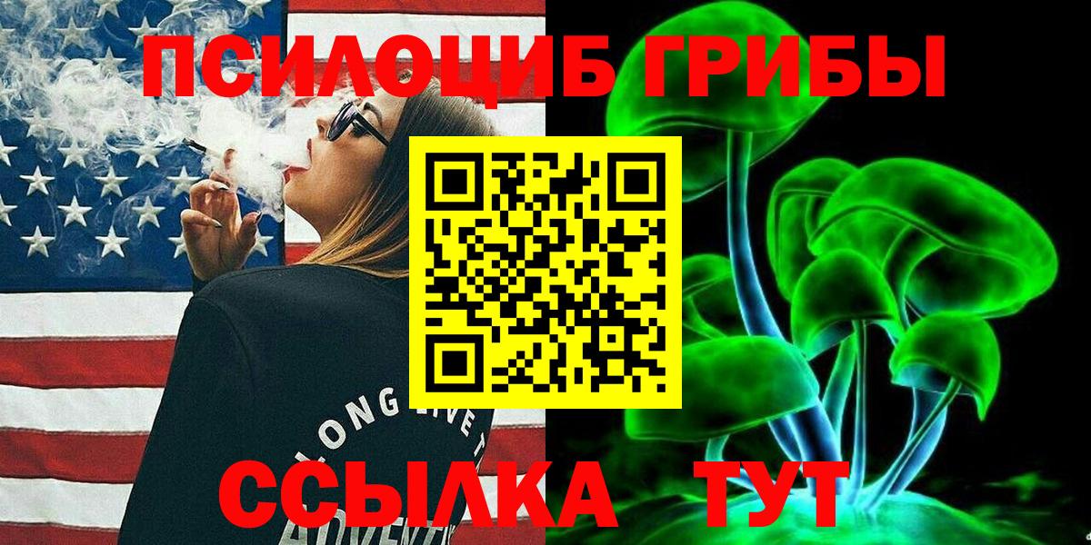 Псилоцибиновые грибы мицелий Будённовск